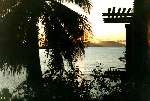 71 photo