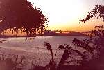 70 photo