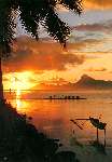 68 photo